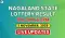Nagaland State Lottery Result Today 3 November 2025