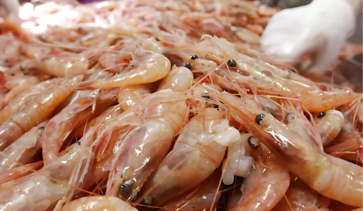 Walmart Recall Radioactive Shrimp