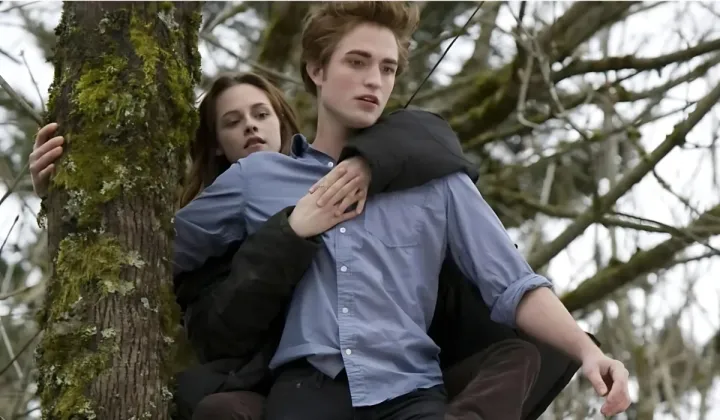 Twilight Saga 