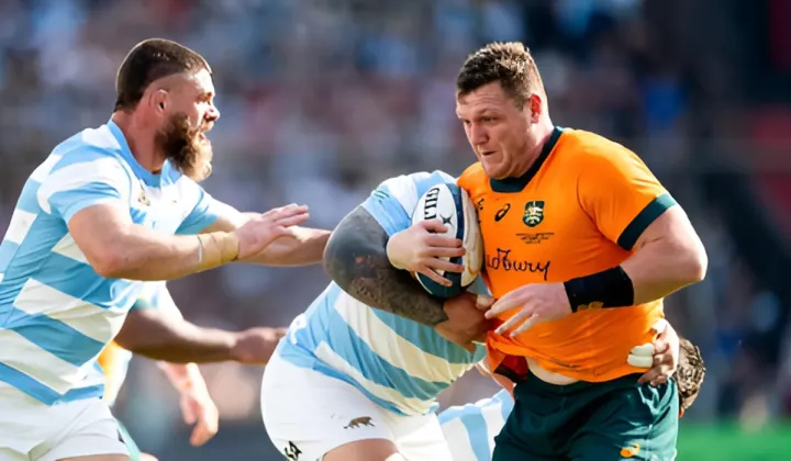 wallabies vs argentina