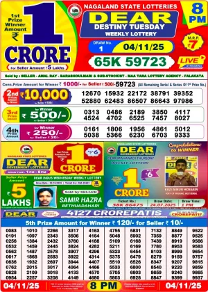 Nagaland State Lottery Old Result 8 PM 4-11-2025