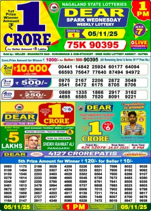 Nagaland Lottery 1 PM Result Wednesday 5-11-2025