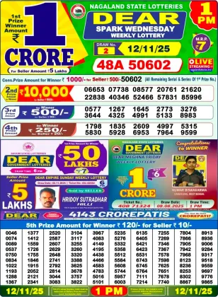 Nagaland Lottery 1 PM Result Wednesday 12-11-2025