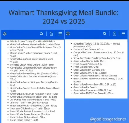 Walmart Thanksgiving offer