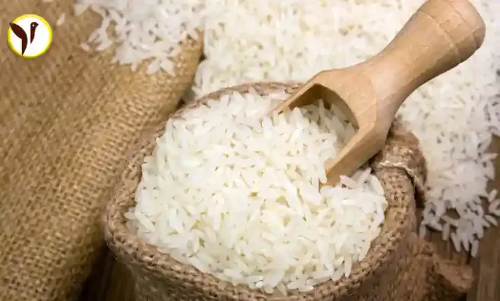 World set to witness the worst rice shortage in 20 years