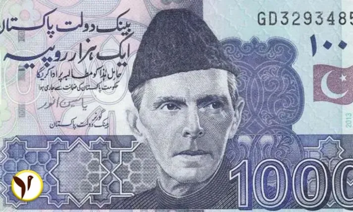 Pakistani Currency
