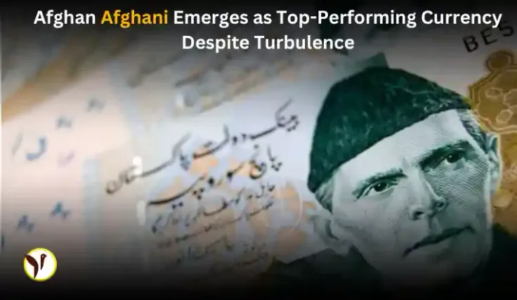 Afghan