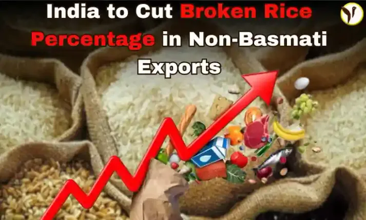 Government plans to reduce broken percentage in non-basmati rice exports