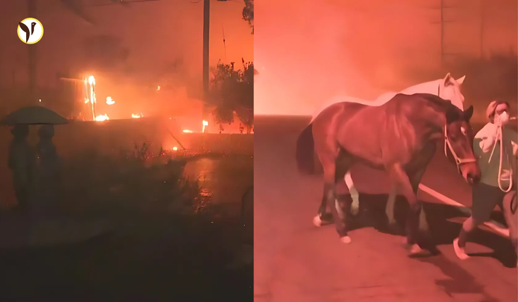 Smoke and flames engulfing the Eaton Canyon area near Altadena, with firefighters battling the wildfire under dark, windy skies.