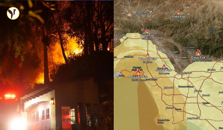 Aerial view of blazing Hollywood Hills Fire with thick smoke, emergency vehicles, and firefighters battling the flames.