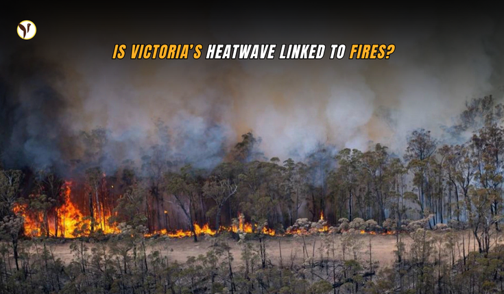 Fires in Victoria cause evacuation and power outages as scorching temperatures drive extreme fire danger.