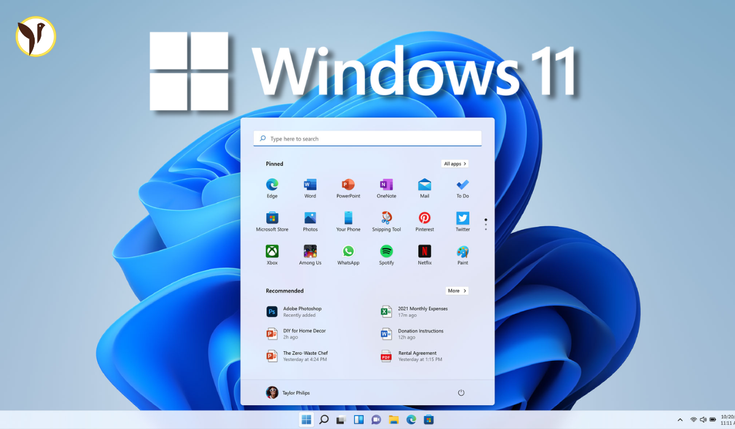 Windows 11