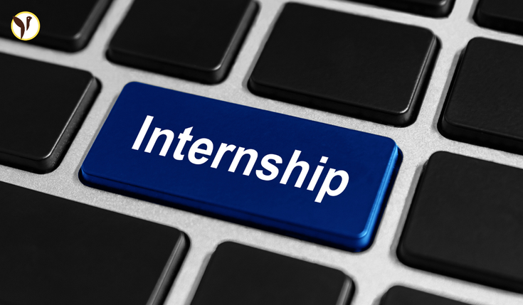 Government Internships