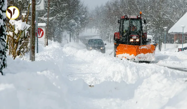 Polar Vortex Collapse