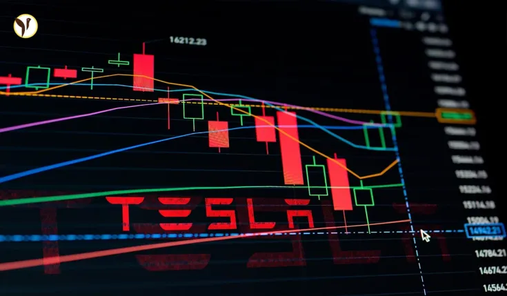 Tesla Stock Crashes
