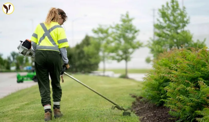 Ontario Landscaping Firms Fined 