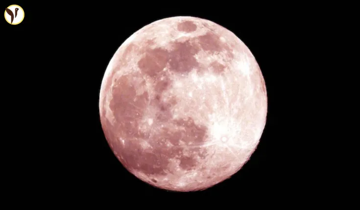 Minimond Pink Moon Lights Up
