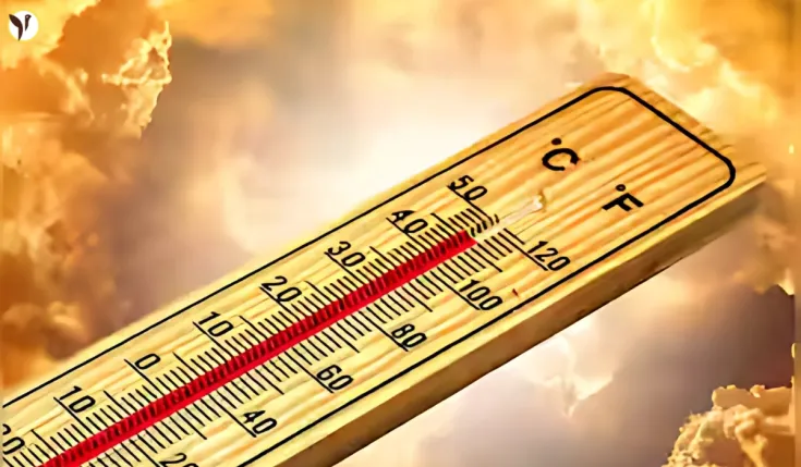 Heatwave