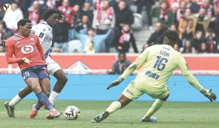 David's Double Leads Lille to Victory