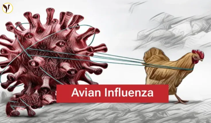 New Virus Spreads in USA 2025