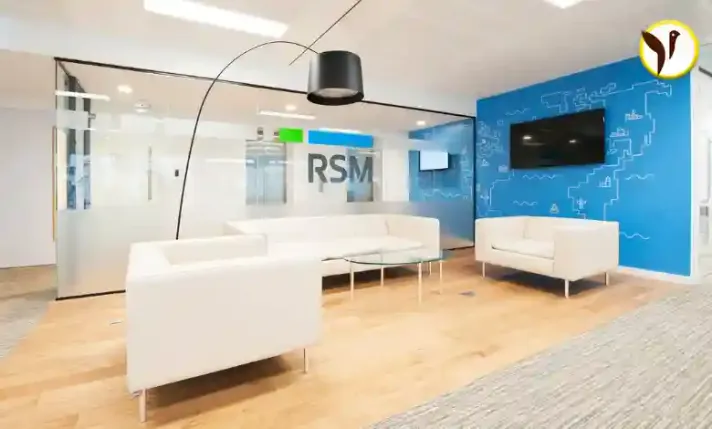 RSM international articleship