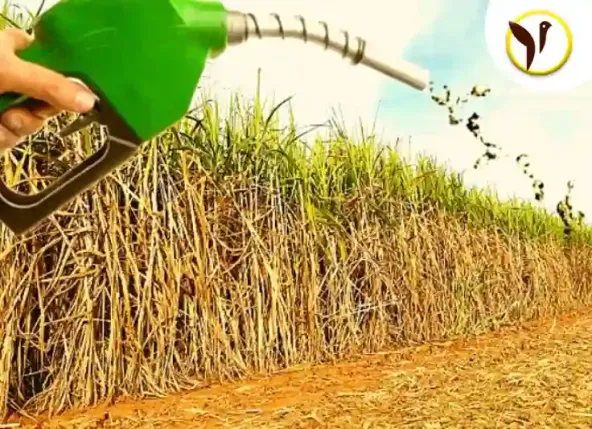 The revised Ethanol blend aims to sweeten the sugar stocks for investors in 2023
