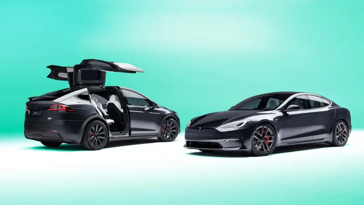 Tesla Stock Plunges