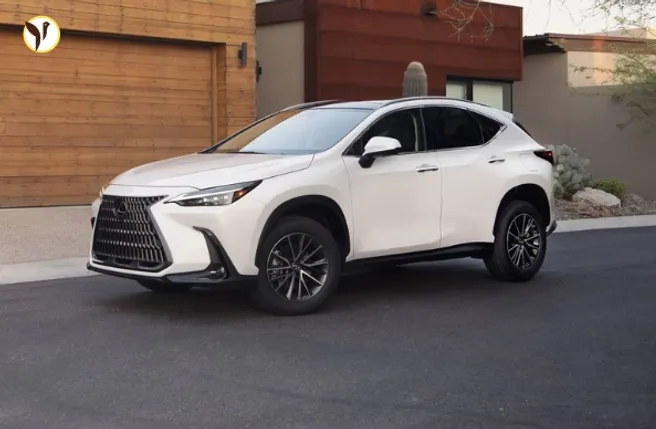 2025 Lexus NX Review: