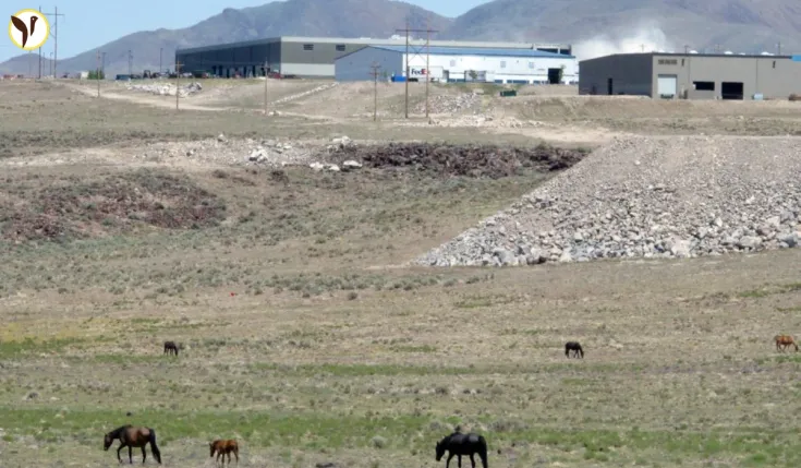 Stop the Nevada Land Grab!  Learn More & Take Action Now!