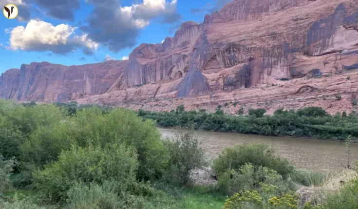 Federal Lands Sale
