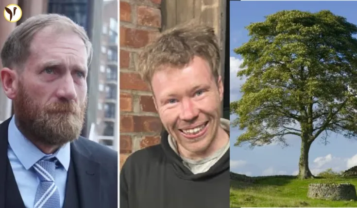 Sycamore Gap Tree Destroyed