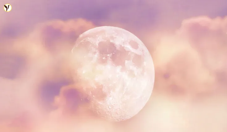 See the May 2025 Flower Micromoon! Check Viewing Times Now