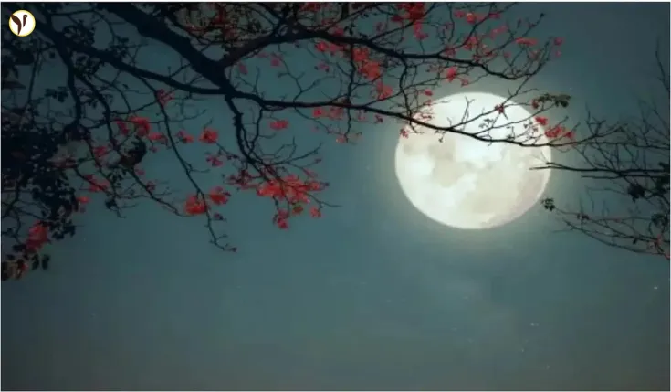 Scorpio Full Moon (May 12