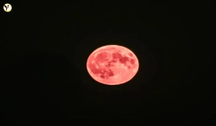 Unlock the Power of the Full Moon