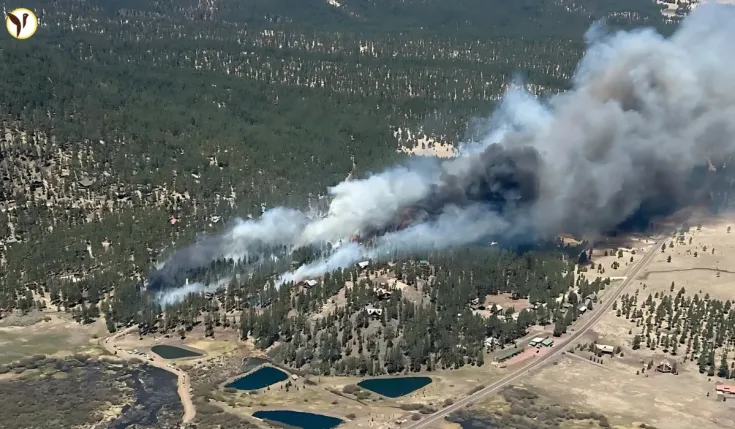 greer fire