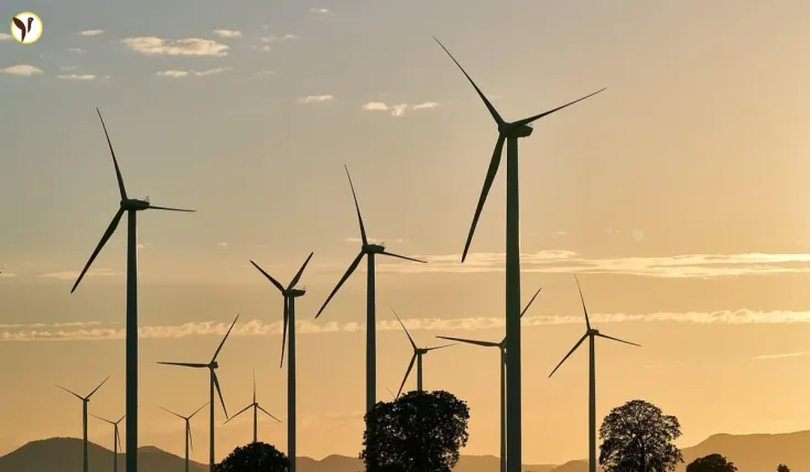 Tata Power's Stunning Profits Fuel Ambitious Expansion