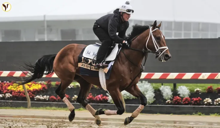 Preakness