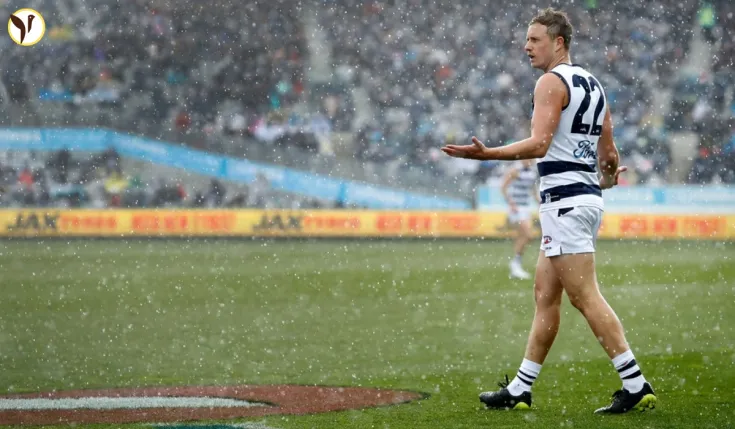 Duncan's 300th Game! Cats Face Bulldogs Amidst Tragedy & Triumph – Subscribe for Full Coverage