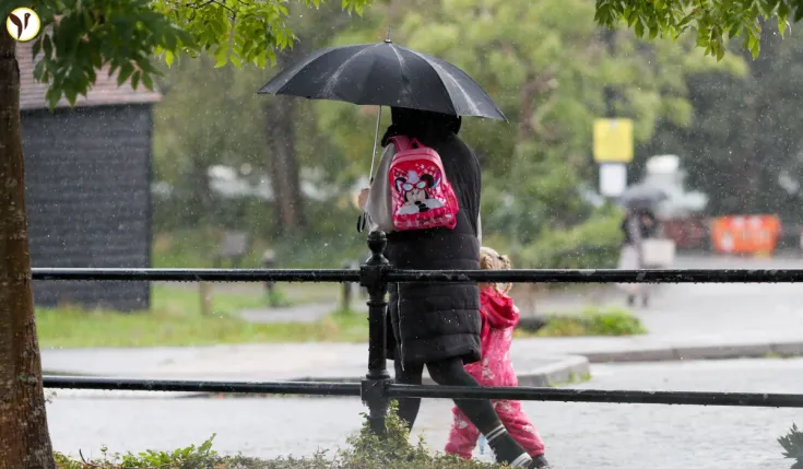 Liverpool weather