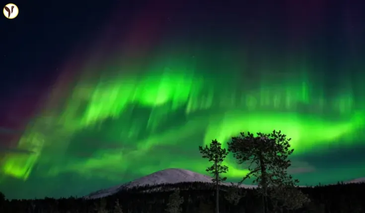 Northern Lights tonight