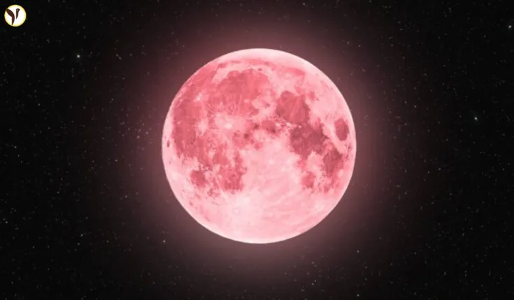 Pink Moon 2025
