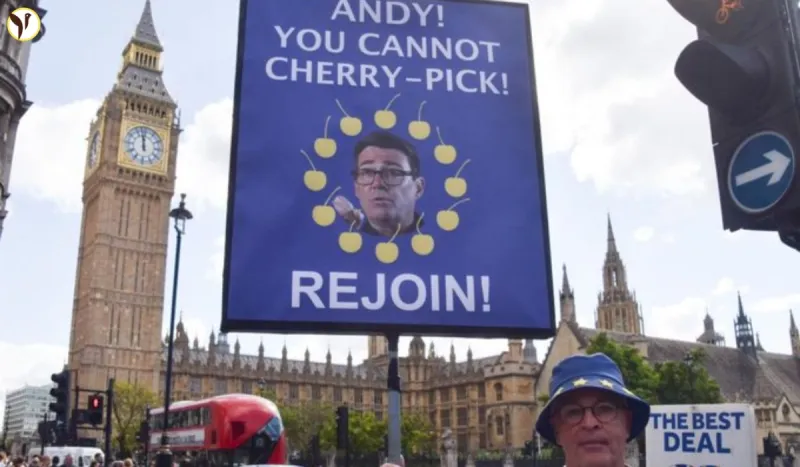 Rejoin EU Poll